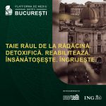 Curs de arboricultură în beneficiul protecției mediului din București