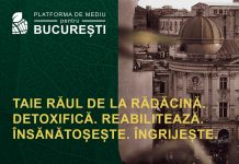 Curs de arboricultură în beneficiul protecției mediului din București