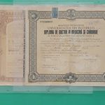 Plagiatul de la firul ierbii