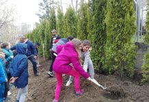 Școlile, așteptate să participe la înființarea de păduri urbane