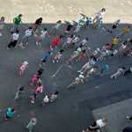 „Școala de vacanță” din Harghita, un proiect educațional cu accent pe experiențe practice