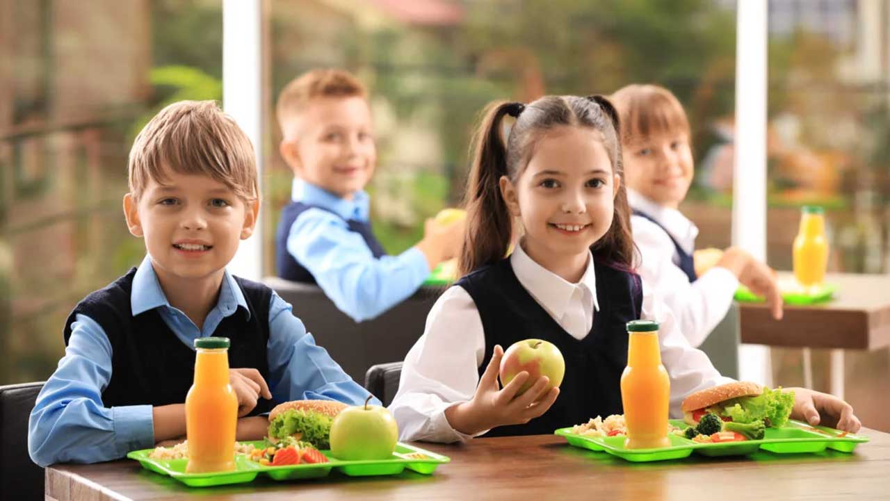 Programul pentru școli al Uniunii Europene a fost aprobat de Guvern