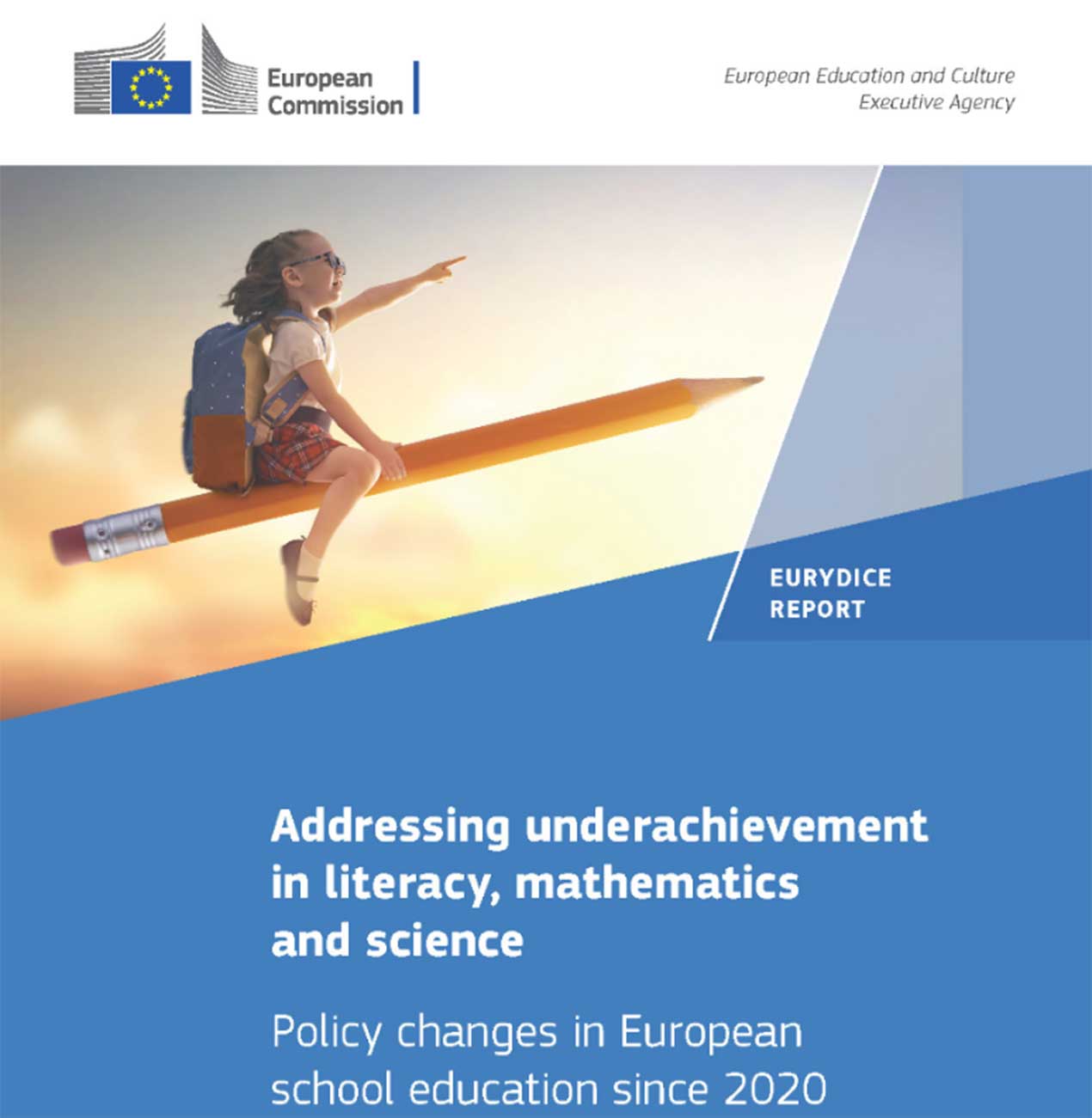 Analfabetismul funcțional și abandonul școlar, reduse în cinci ani – anunță Daniel David