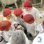 Înscrieri pentru vizite cu școala și grădinița în fabrică Danone România din București