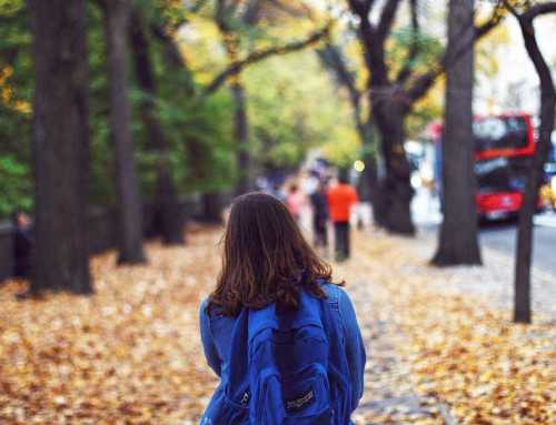 Abandonul școlar nu este totuna cu întreruperea studiilor