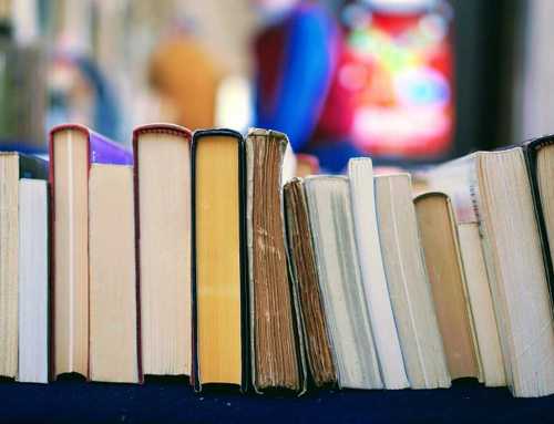 Au apărut programele revizuite de limba și literatura română pentru clasa a IX-a