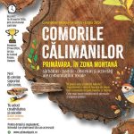 Educație prin artă și cultură: concurs de creație pentru elevi