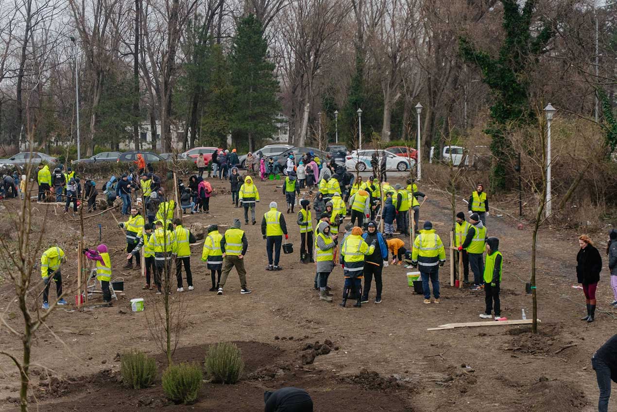 Educație pentru natură în Luna Plantării Arborilor